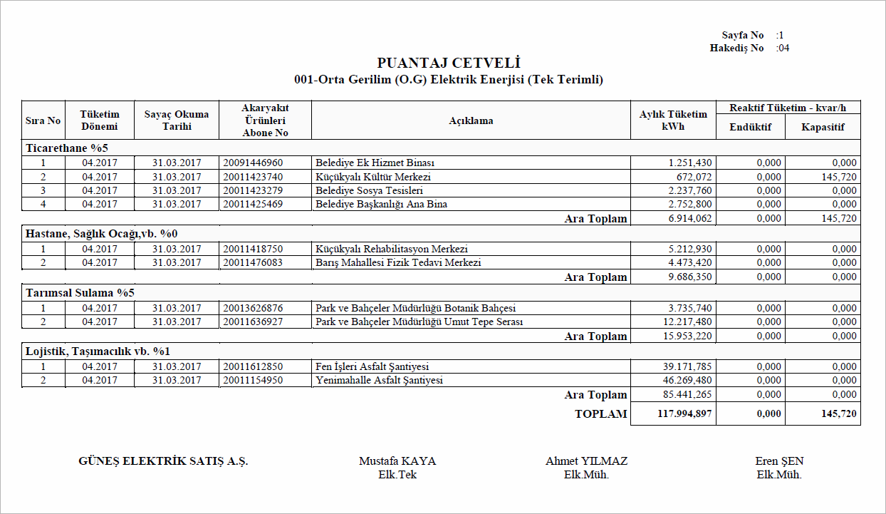 Elektrik Alımları Puantaj Cetveli Raporu